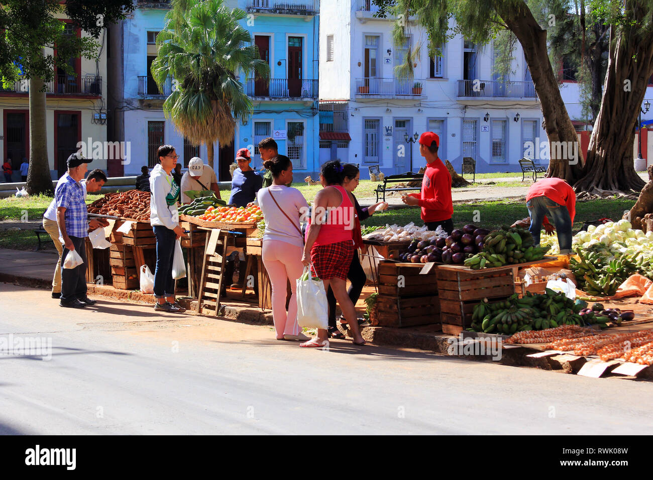 La Havane, Cuba - 11 janvier 2019 : Les gens vendre et acheter des fruits à un marché sur la rue dans la Vieille Havane, Cuba Banque D'Images