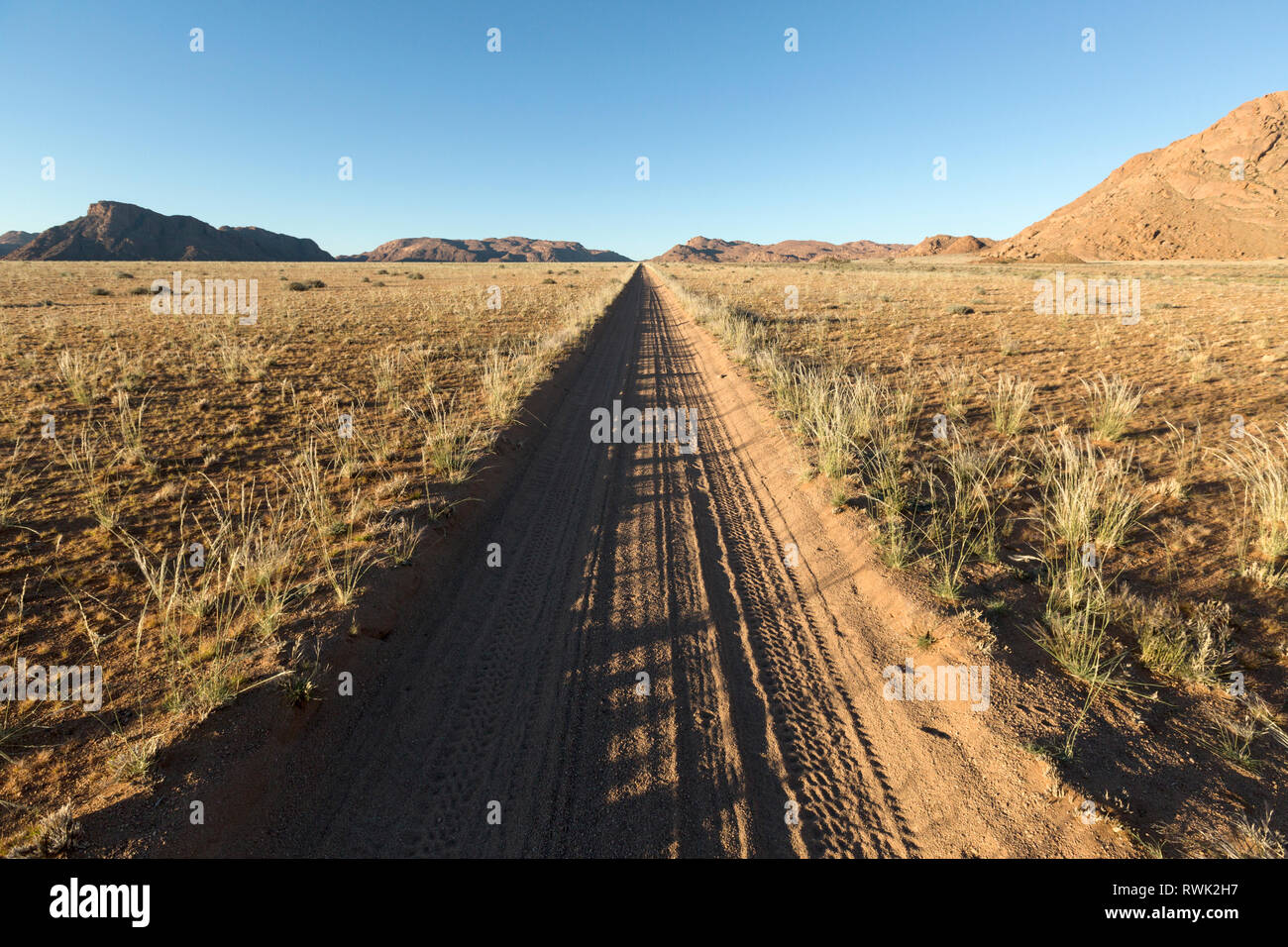 Un chemin de sable dans le désert du Namib Banque D'Images