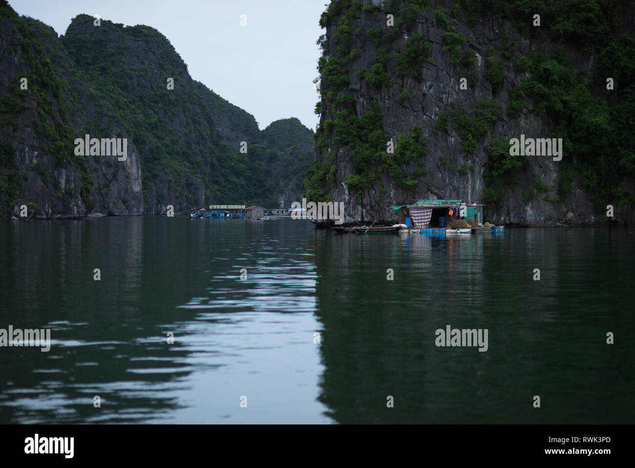 Pêcheur dans la baie de Ha Long, les poissons et les pêcheurs en bateau maison paysage magnifique de la Baie d'Halong, Vietnam Banque D'Images