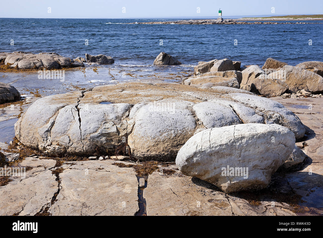 En forme de petit pain géant fossilisé, organisme qui se développent dans une zone de marée près de Flower's Cove, Terre-Neuve, quelque 650 millions d'années. Flower's Cove, dans l'ouest de Terre-Neuve, Canada Banque D'Images