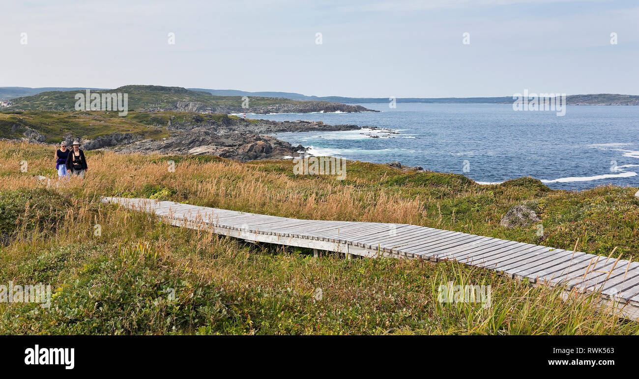 Des icebergs Trail donnant sur le port de Saint Antoine et de l'océan Atlantique, Point de pêche, parc municipal de Saint Anthony, Terre-Neuve, Canada Banque D'Images