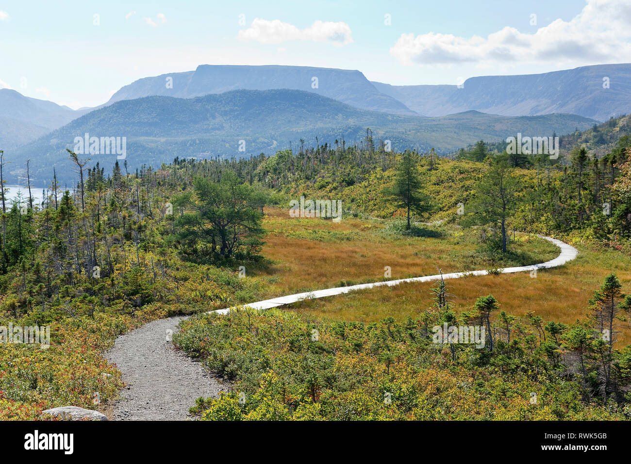 Le sentier d'observation dans le parc national du Gros-Morne mène à la chicouté haut de colline qui offre une vue panoramique dans plusieurs directions différentes dont celle des Tablelands dans la distance. Terre-neuve, Canada Banque D'Images