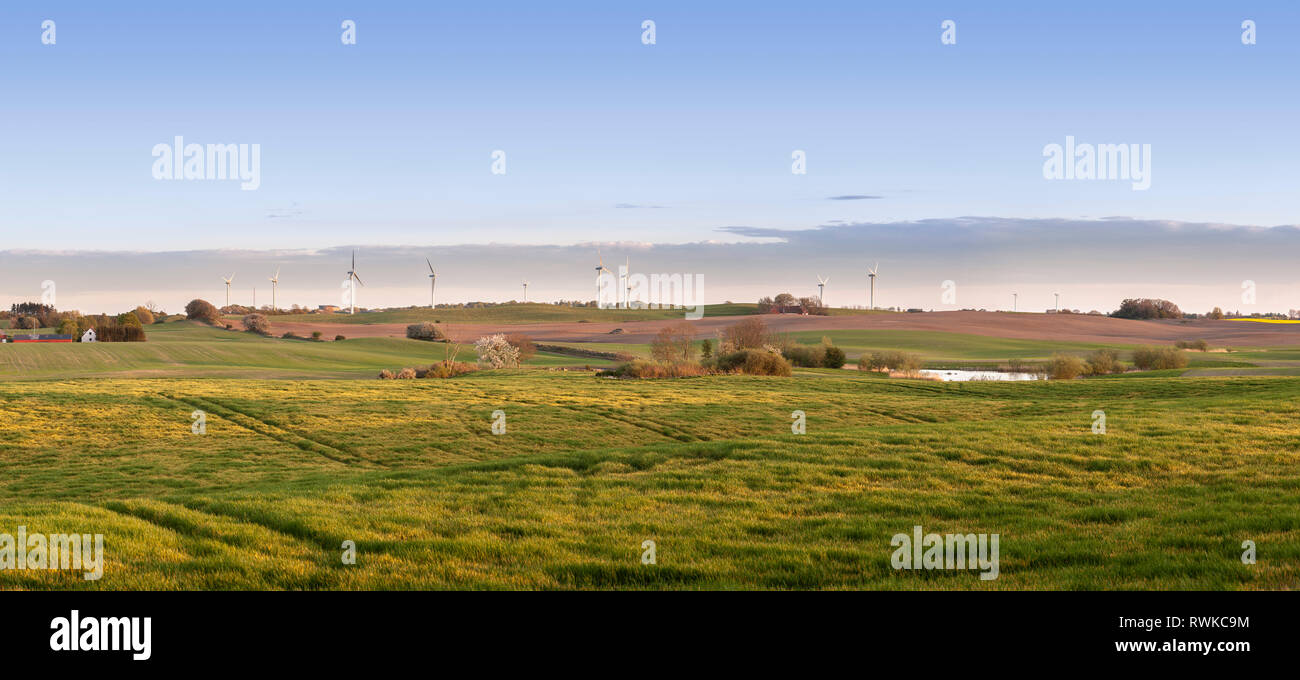 Vue panoramique du paysage agricole avec les éoliennes à l'extérieur de Ystad, Skane, Suède, Scandinavie. Banque D'Images