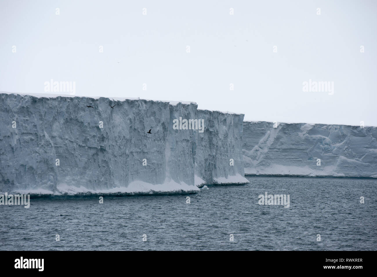 L'océan Arctique et de la glace falaises de calotte glacière, Austfonna, Nordaustlandet Svalbard, Norvège Banque D'Images