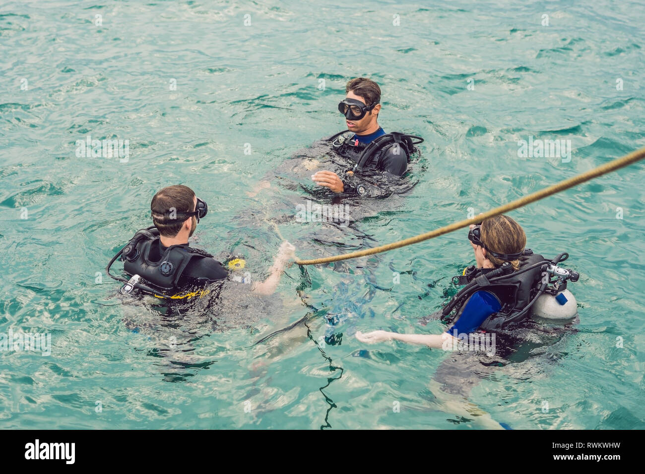 Plongeurs à la surface de l'eau prêt à plonger Banque D'Images