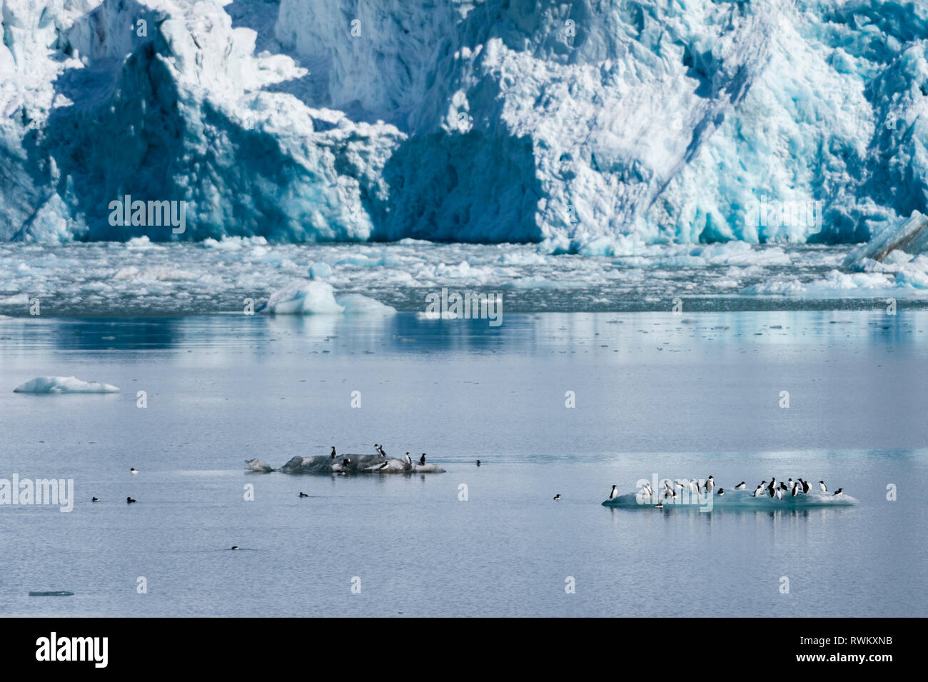 Glacier Lilliehook, Spitsbergen, Svalbard, Norvège Banque D'Images