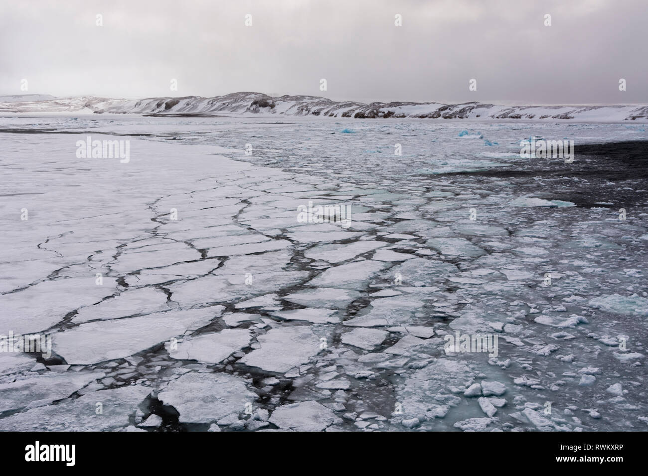 La banquise, Murchinson Bay, Murchisonfjorden, Nordaustlandet, Svalbard, Norvège Banque D'Images La banquise, Murchinson Bay, Murchisonfjorden, Nordaustlandet, Svalbard, Norvège Banque D'Images
