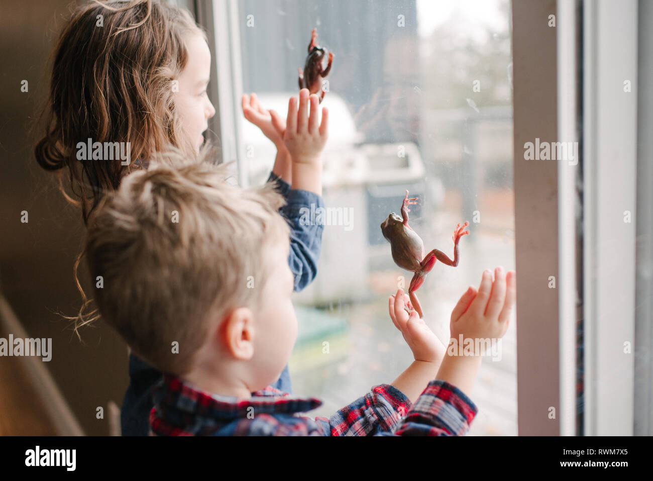 Enfants jouant avec des grenouilles sur la fenêtre Banque D'Images