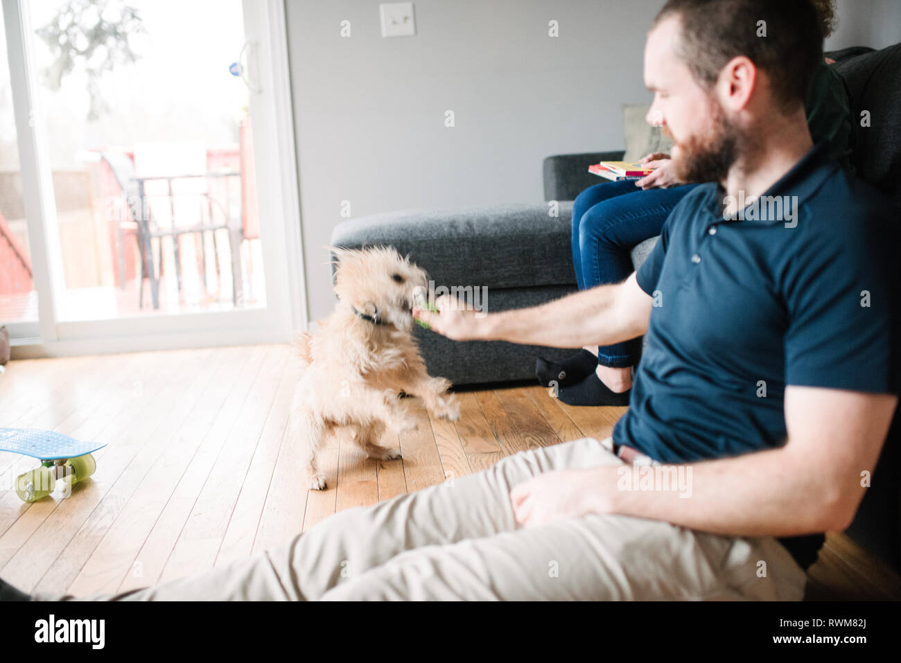 L'homme et le chien dans la salle de séjour Banque D'Images
