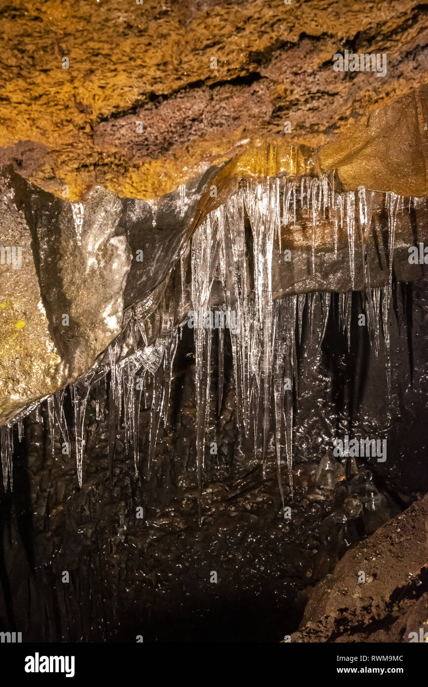 Wind Cave & la caverne de glace dans le japon Fugaku. La Grotte du Vent Fugaku Fuji est entouré par la verdure abondante de l'Aokigahara Jukai forêt. Une fois que vous entrez Banque D'Images