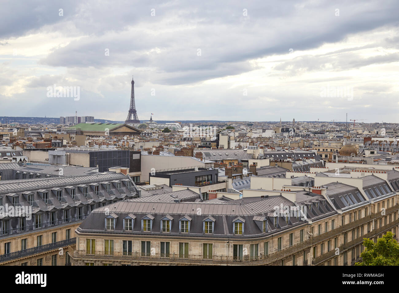 Vue sur les toits de Paris et la Tour Eiffel dans un jour nuageux, horizon en France Banque D'Images