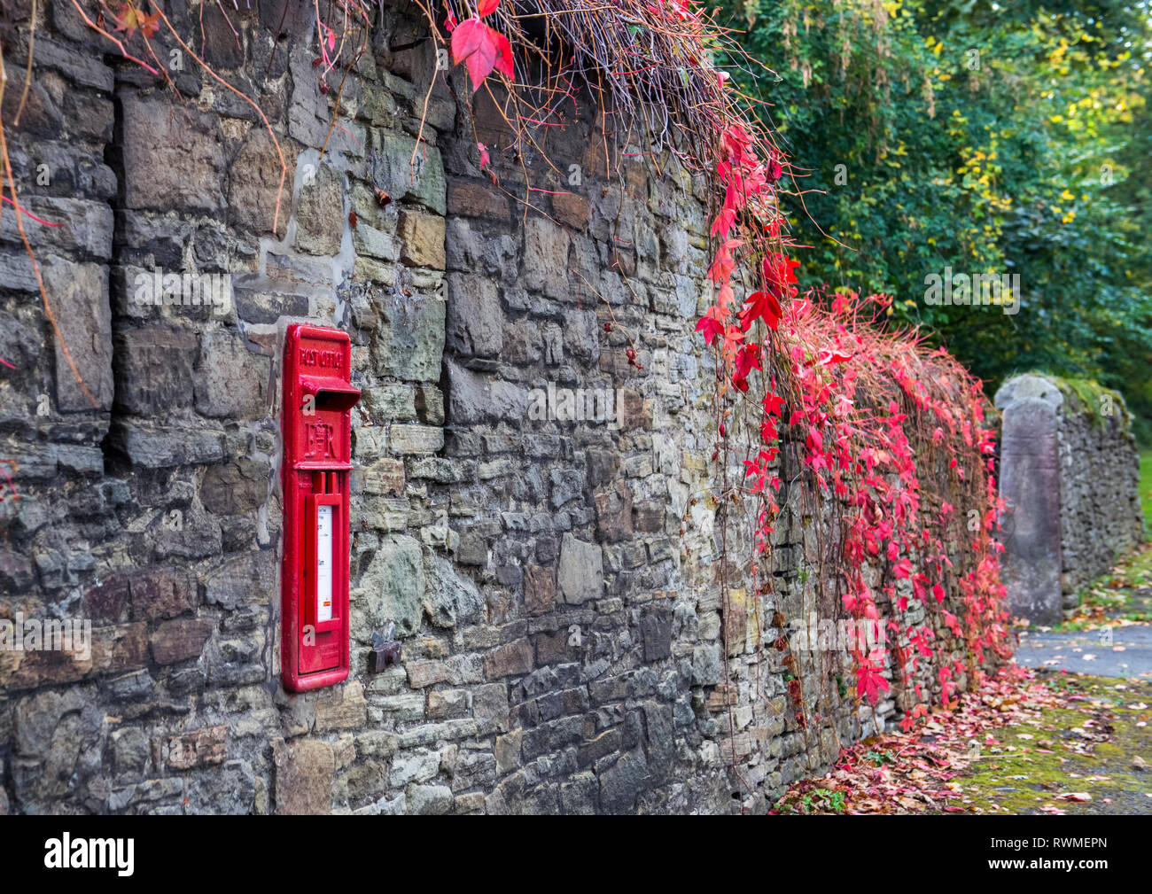 Anglais rouge post box dans un mur en pierre entourée de feuilles colorées d'automne ; Snods Edge, County Durham, Angleterre Banque D'Images