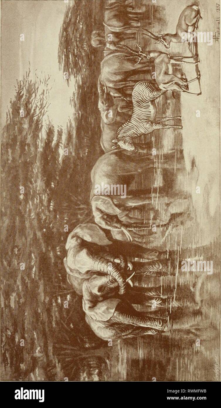 U3 X Banque D Image Et Photos Alamy