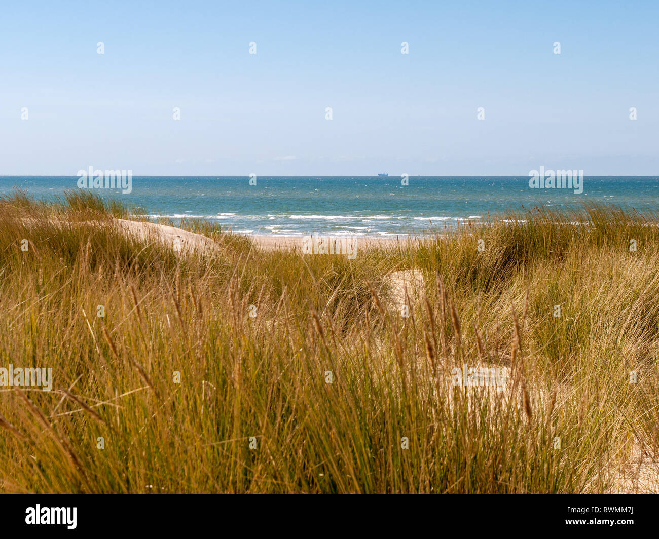 Vue sur dune avec l'herbe et la plage sur la mer du Nord près de Domburg sur l'île de Walcheren, Zélande, Pays-Bas Banque D'Images