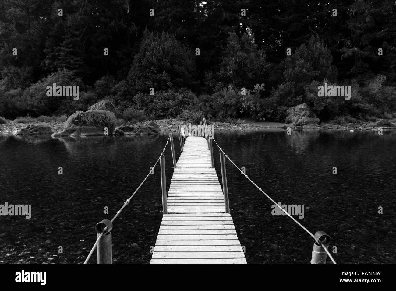 Pont pied dans les bois Banque D'Images