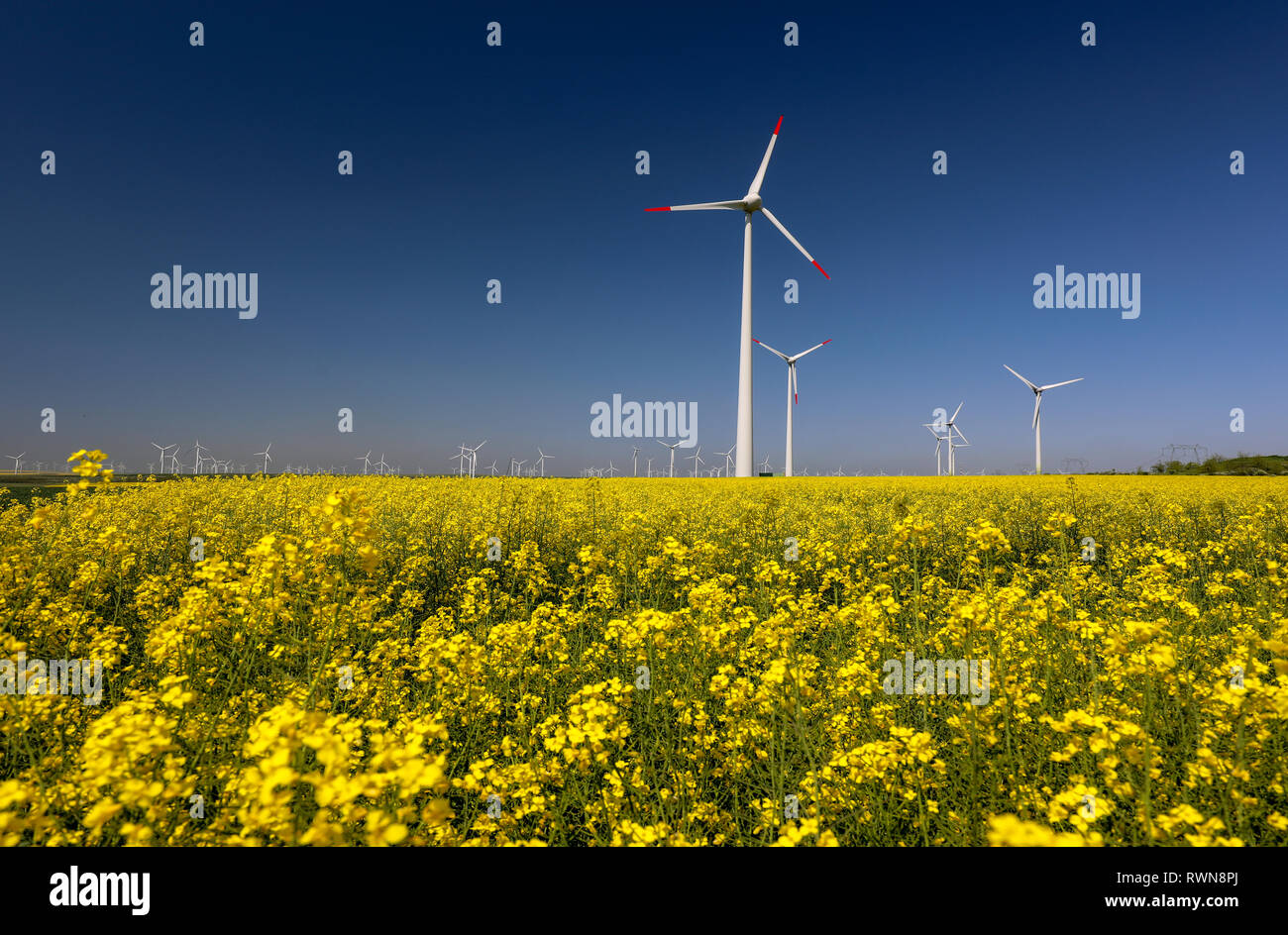 Éoliennes ferme. L'énergie renouvelable de remplacement. Banque D'Images