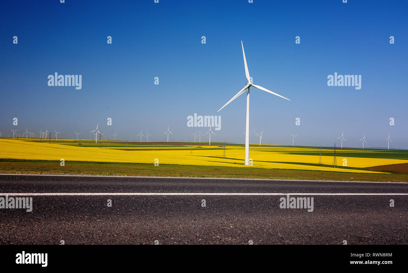 Éoliennes. Les champs avec les moulins à vent. Champ de colza en fleur. L'énergie renouvelable. Protéger l'environnement. Banque D'Images