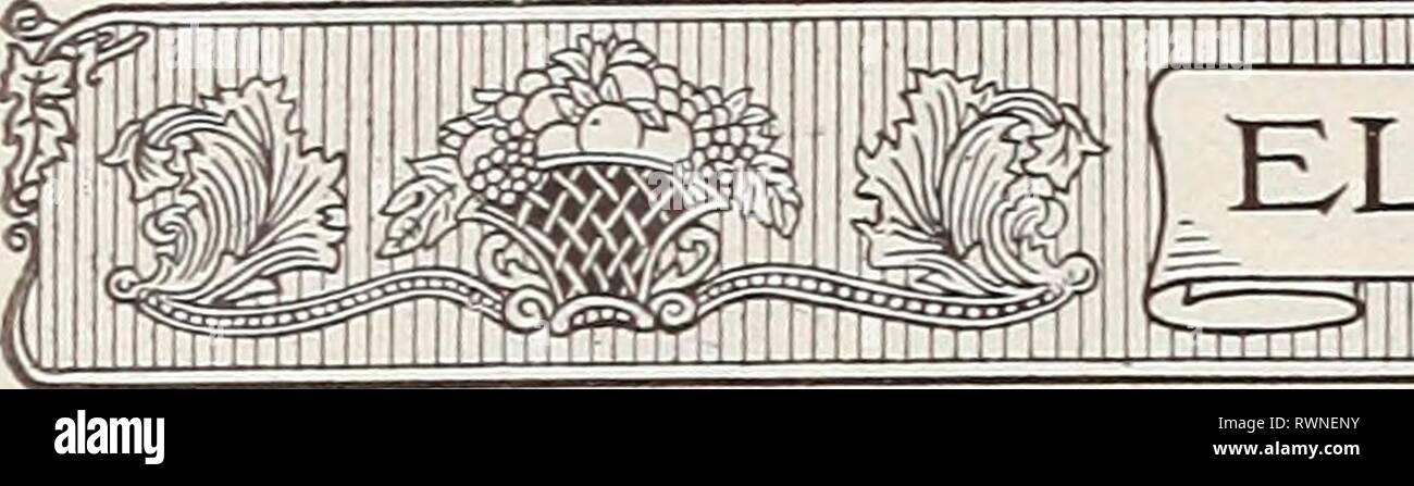 Ellwanger et Barry Mt Hope Ellwanger et Barry Mt Hope 1916 ellwangerbarrymt pépinières1916moun Année : 1916 MM SYRINGA-lilas-Conftniicd S. rothomagensis var. rubra. Rouen lilas, C. Une variété hybride, avec des fleurs rougeâtres ; panicules de grande taille et très abondante. L'un des plus beaux. 2 à 3 ft., 50c ; 10 pour chaque 4,00 $ ; 100 pour 30 $. S. rothomagensis var. alba. C. un feuillage vigoureux cultivateur ; petit et étroit ; fleurs blanches wdth une teinte bleutée. Floraison parfumée et gratuitement. 2 à 3 ft., 50c chaque ; 10 pour S4-00. S. villosa. C. Une espèce originaire du Japon. Grandes panicules ramifiés ; les fleurs violet clair dans Banque D'Images