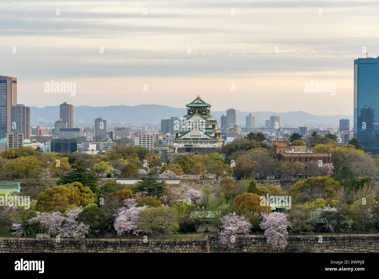 Le château d'Osaka avec cherry blossom et Osaka business centre en arrière-plan dictrick à Osaka, Japon. Le Japon printemps belle scène. Banque D'Images