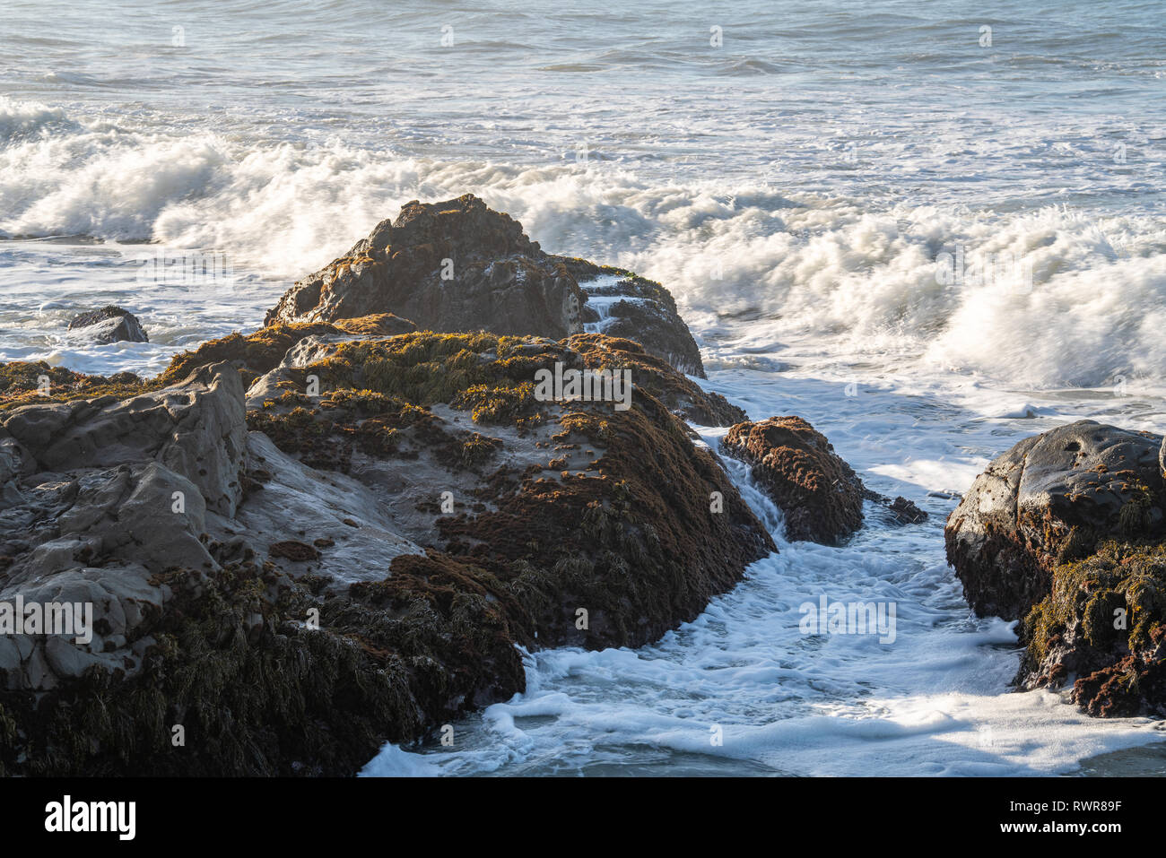 Cambria, Californie - l'eau de la côte rocheuse du Pacifique près de Big Sur. Banque D'Images