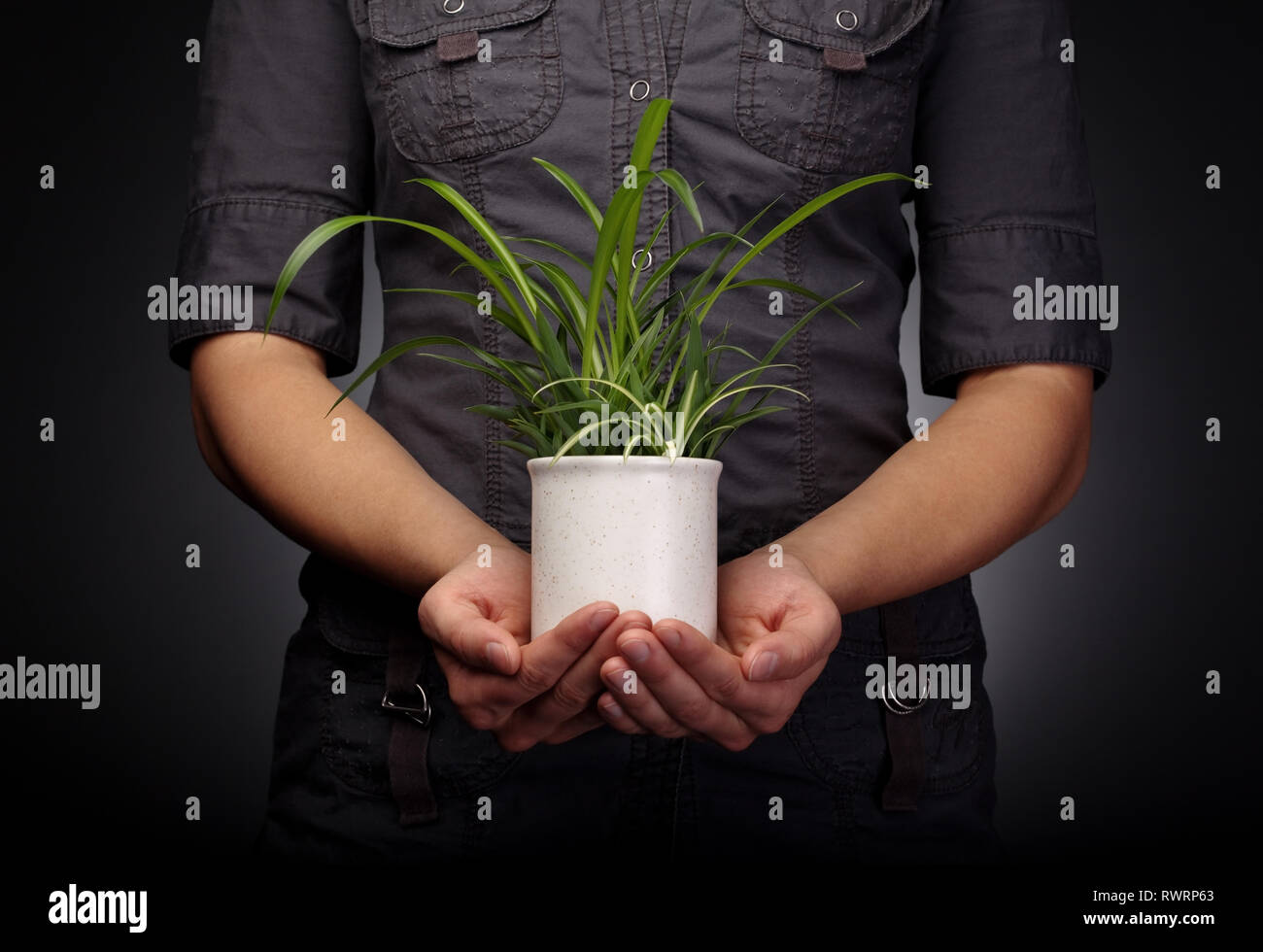 Sauver l'environnement Concept. Jeune femme est titulaire d'une petite usine de façon protectrice Banque D'Images