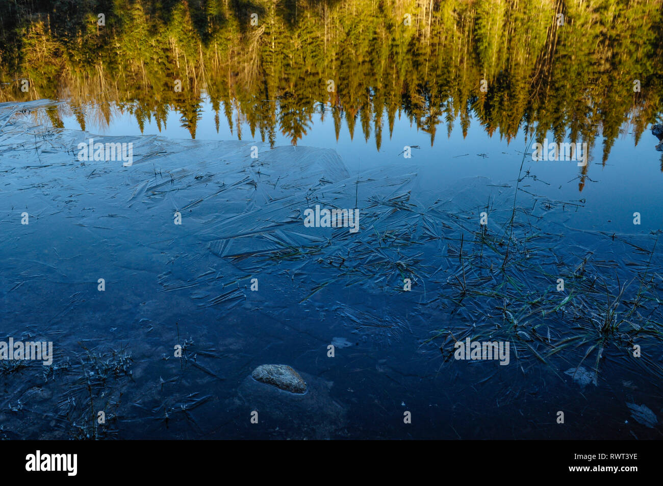 Glace sur le lac Cedar Dans les Adirondacks de l'État de New York Banque D'Images