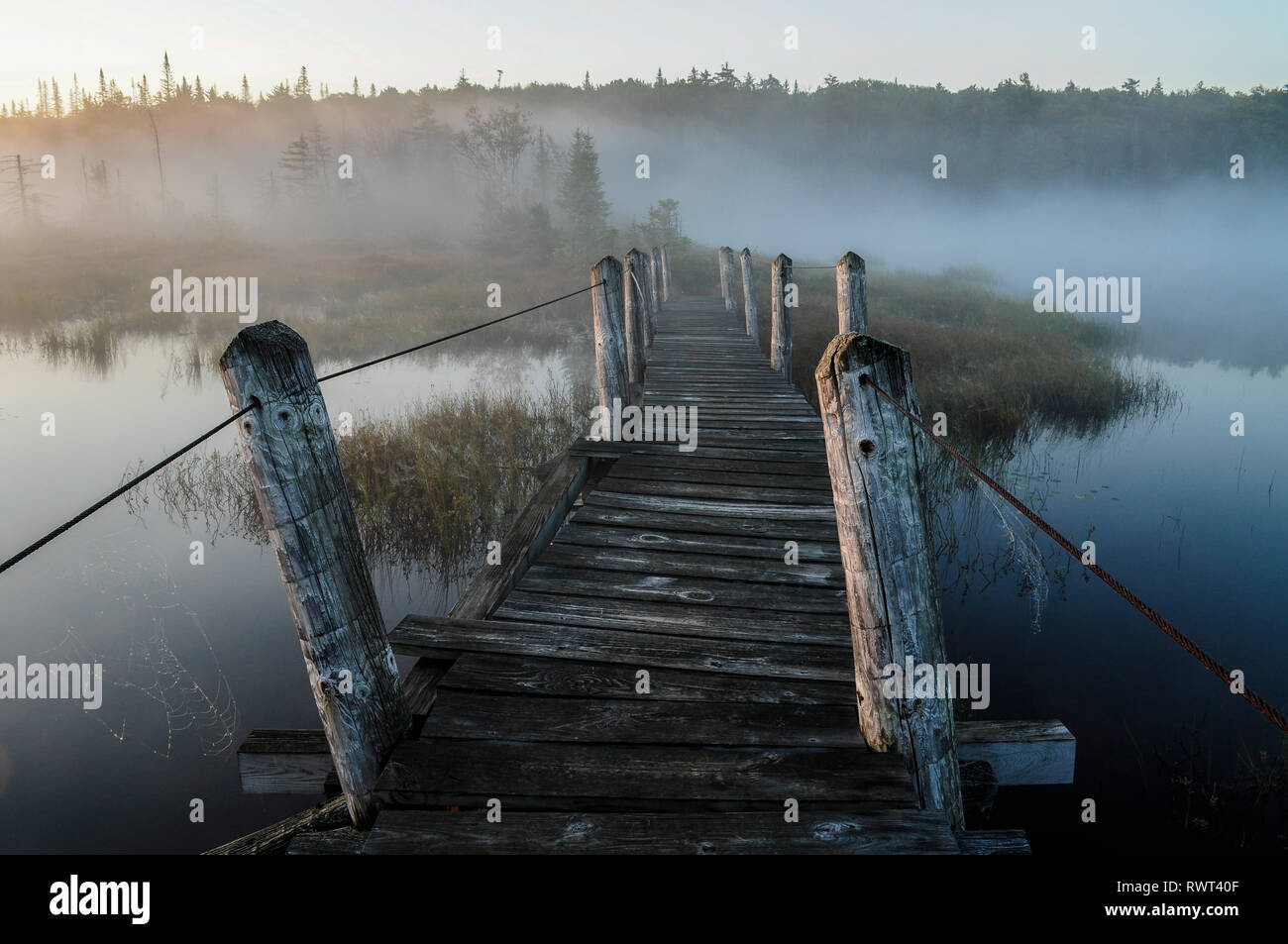 Pont sur le lac South sur l'Northville- Lake Placid sentier dans la réserve forestière de l'Adirondack dans l'État de New York Banque D'Images