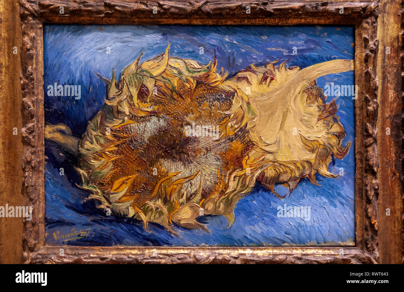 Vincent van gogh museum Banque de photographies et d’images à haute résolution Alamy Vincent van gogh museum Banque de photographies et d’images à haute résolution Alamy