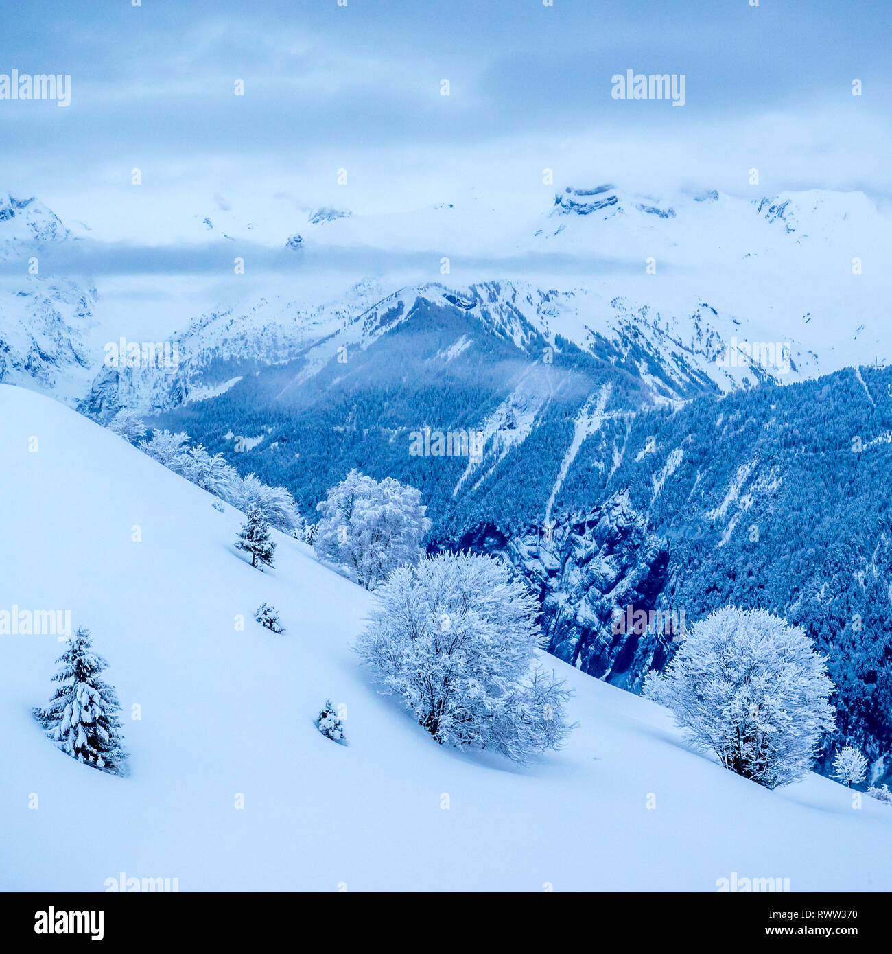 Pente alpine avec fond de montagne avant l'aube dans la lumière bleue sur un paisible matin calme calme la neige vierge immaculée et Brouillard Le brouillard Banque D'Images