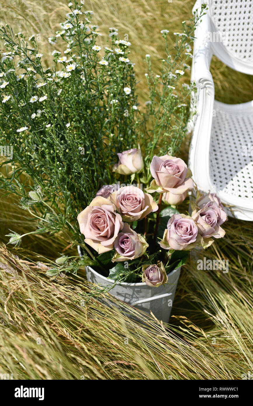 Un ancien président de la canne française se trouve en elle-même dans un champ de marguerites et de l'herbe et est entourée de fleurs à l'été Banque D'Images