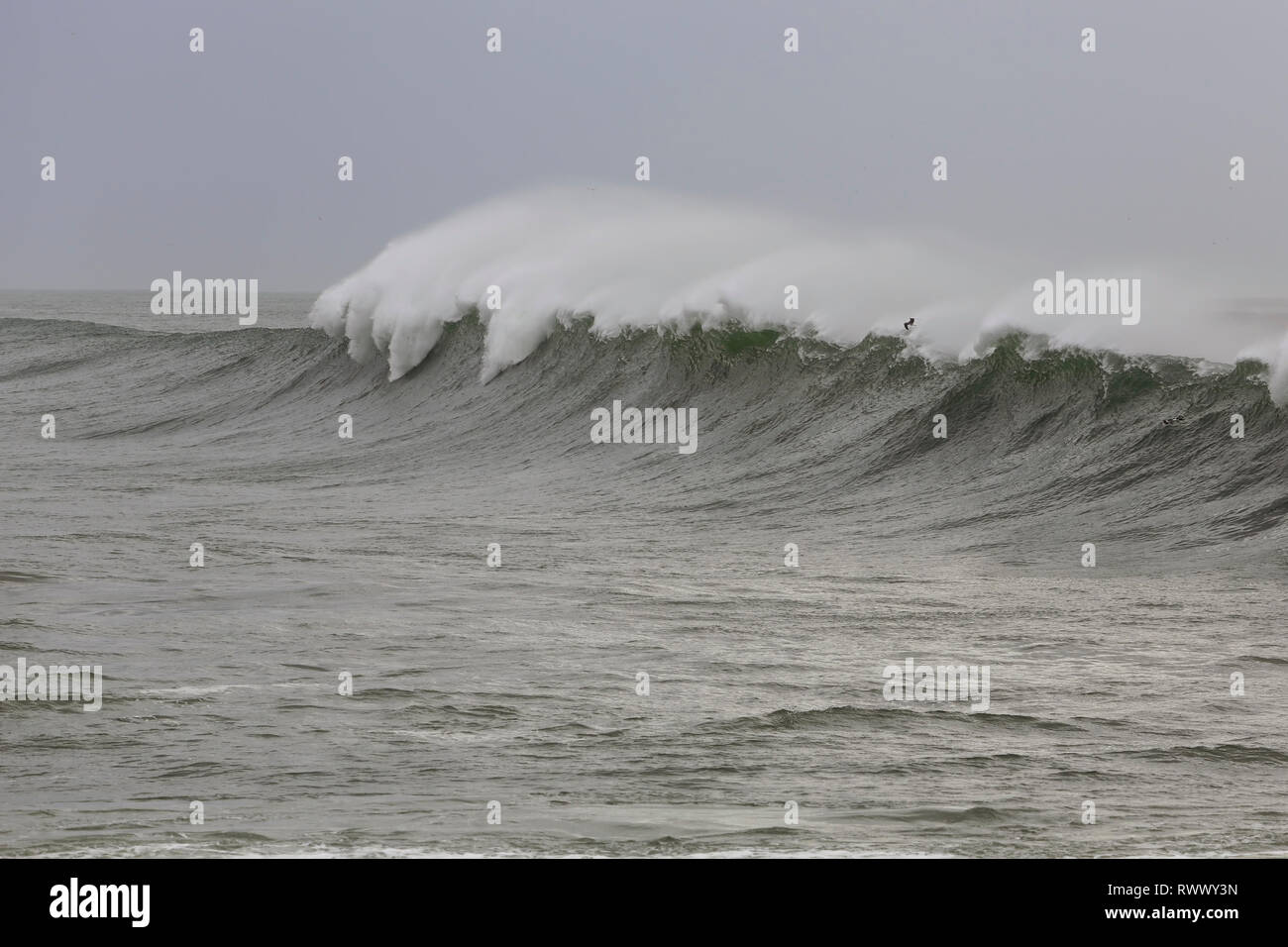 L'onde longue avec Wind Jet. Le nord de la côte portugaise. Banque D'Images