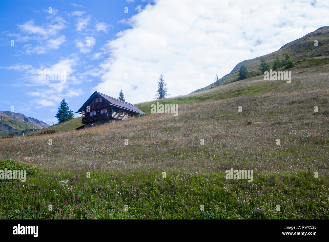 Maison en bois sur une piste verte dans les Alpes autrichiennes Banque D'Images