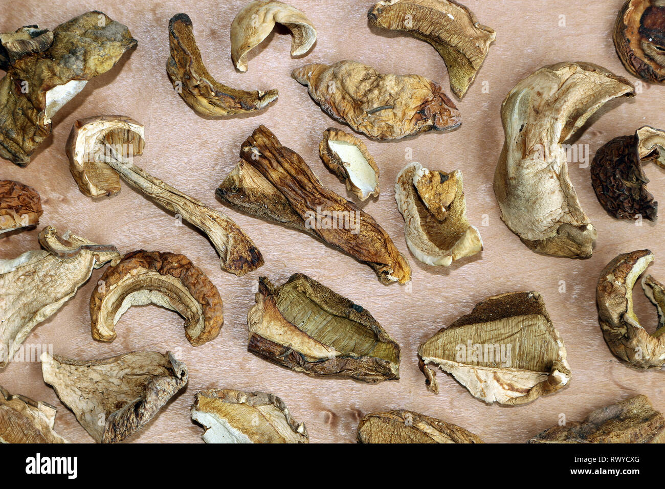Tranches de cèpes séchés, Boletus edulis Banque D'Images