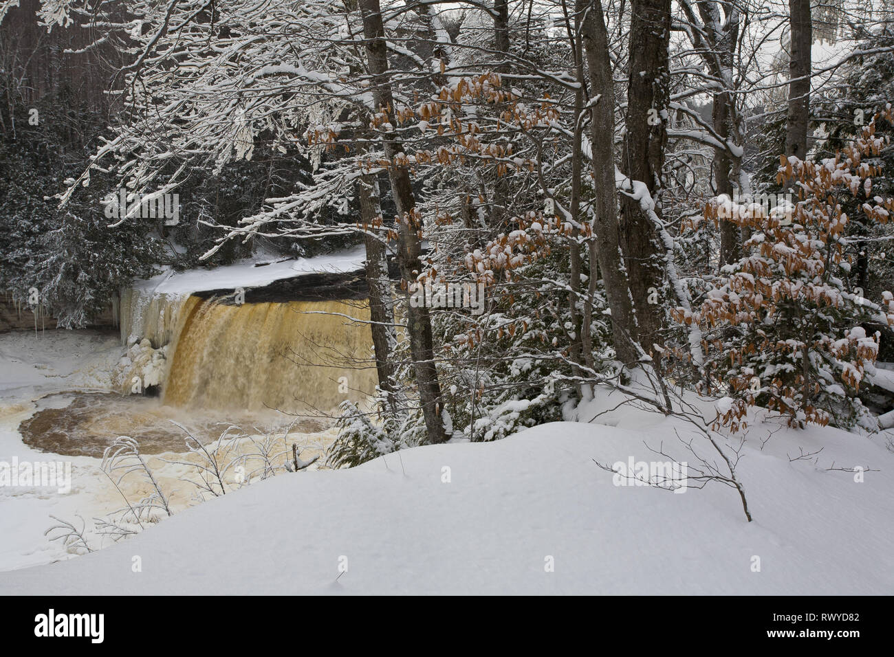 Tahquamenon Falls State Park, Chippewa County, Michigan, USA Banque D'Images