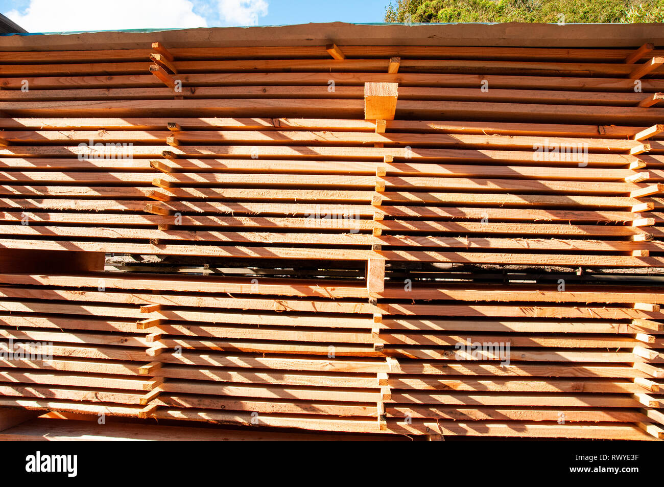 Planches en bois empilés sur des palettes Banque D'Images