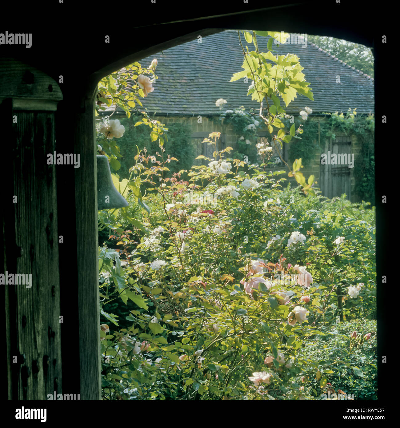 Fenêtre sur jardin fleuri Banque D'Images