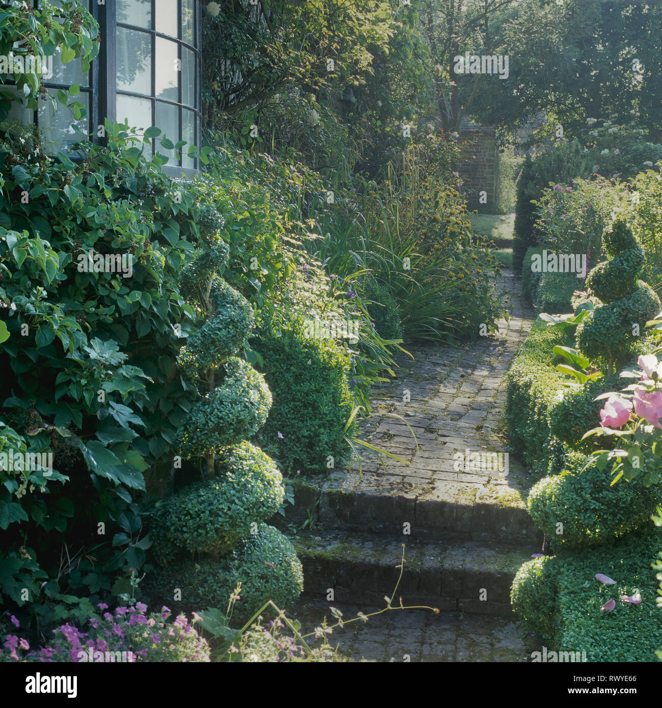 Chemin à travers jardin Banque D'Images