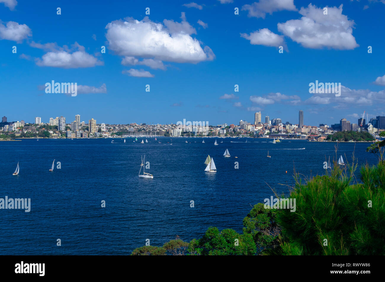 Vue sur Port Jackson et Rose Bay. Banque D'Images