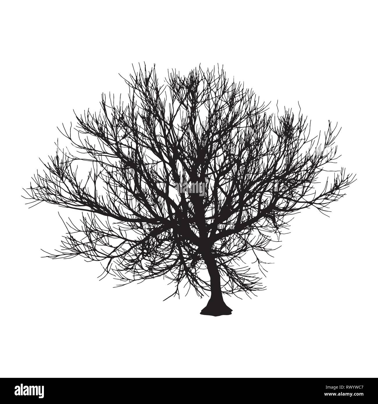 Arbre Sec noir automne hiver ou silhouette sur fond blanc. Eps10 Vector illustration Illustration de Vecteur