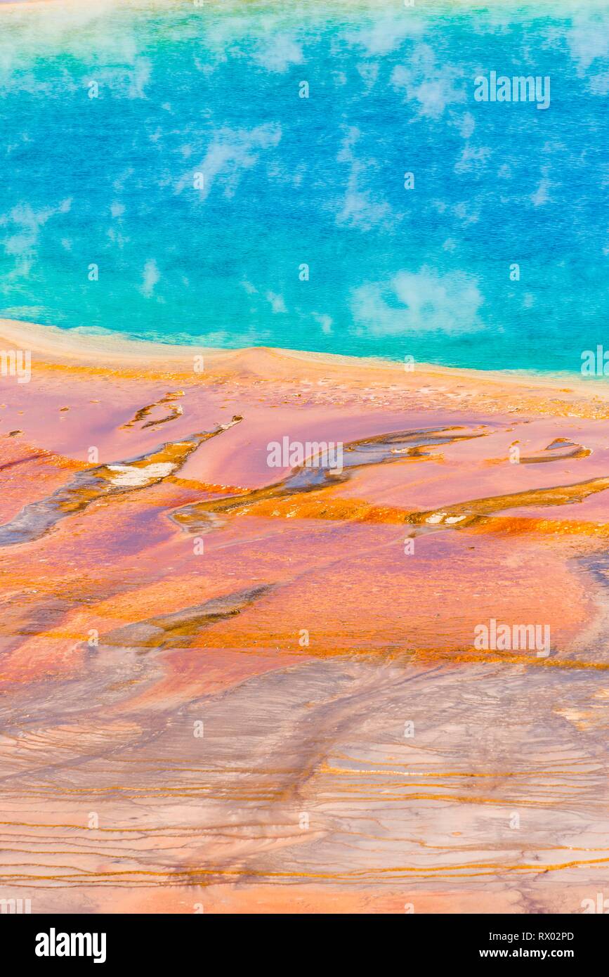 Les dépôts de minéraux colorés au bord sr la vapeur chaude du printemps, photo détail, Grand Prismatic Spring, Midway Geyser Basin Banque D'Images