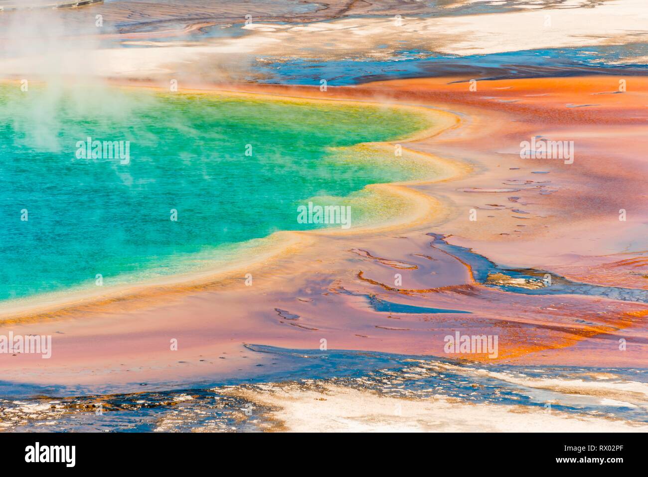 Les dépôts de minéraux colorés au bord sr la vapeur chaude du printemps, photo détail, Grand Prismatic Spring, Midway Geyser Basin Banque D'Images