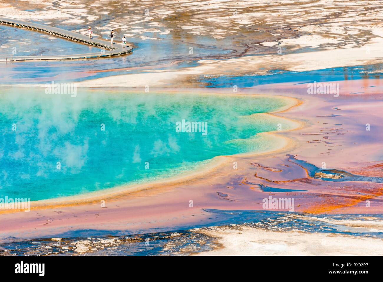 Les dépôts de minéraux colorés au bord sr la vapeur chaude du printemps, photo détail, Grand Prismatic Spring, Midway Geyser Basin Banque D'Images