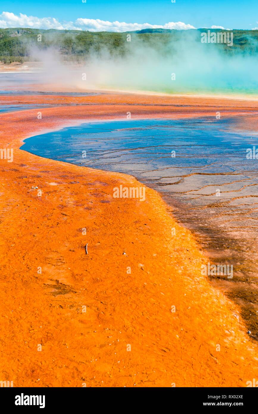 Les gisements minéraux de couleur au bord de la vapeur chaude du printemps, la vue de détail, Grand Prismatic Spring, Midway Geyser Basin Banque D'Images