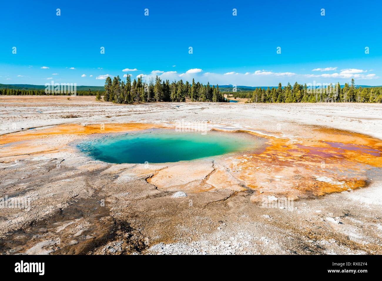 La vapeur chaude printemps avec des gisements minéraux, piscine turquoise, Midway Geyser Basin, Parc National de Yellowstone, Wyoming, USA Banque D'Images