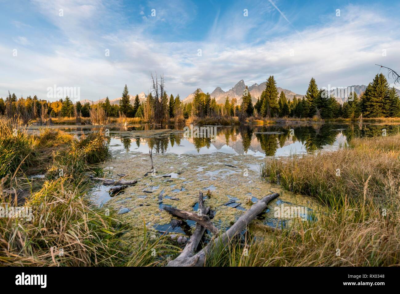 Plage de Grand Teton mountain range, reflet dans le lac, l'automne, la végétation, l'atterrissage Schwabacher Le Grand Teton National Park Banque D'Images
