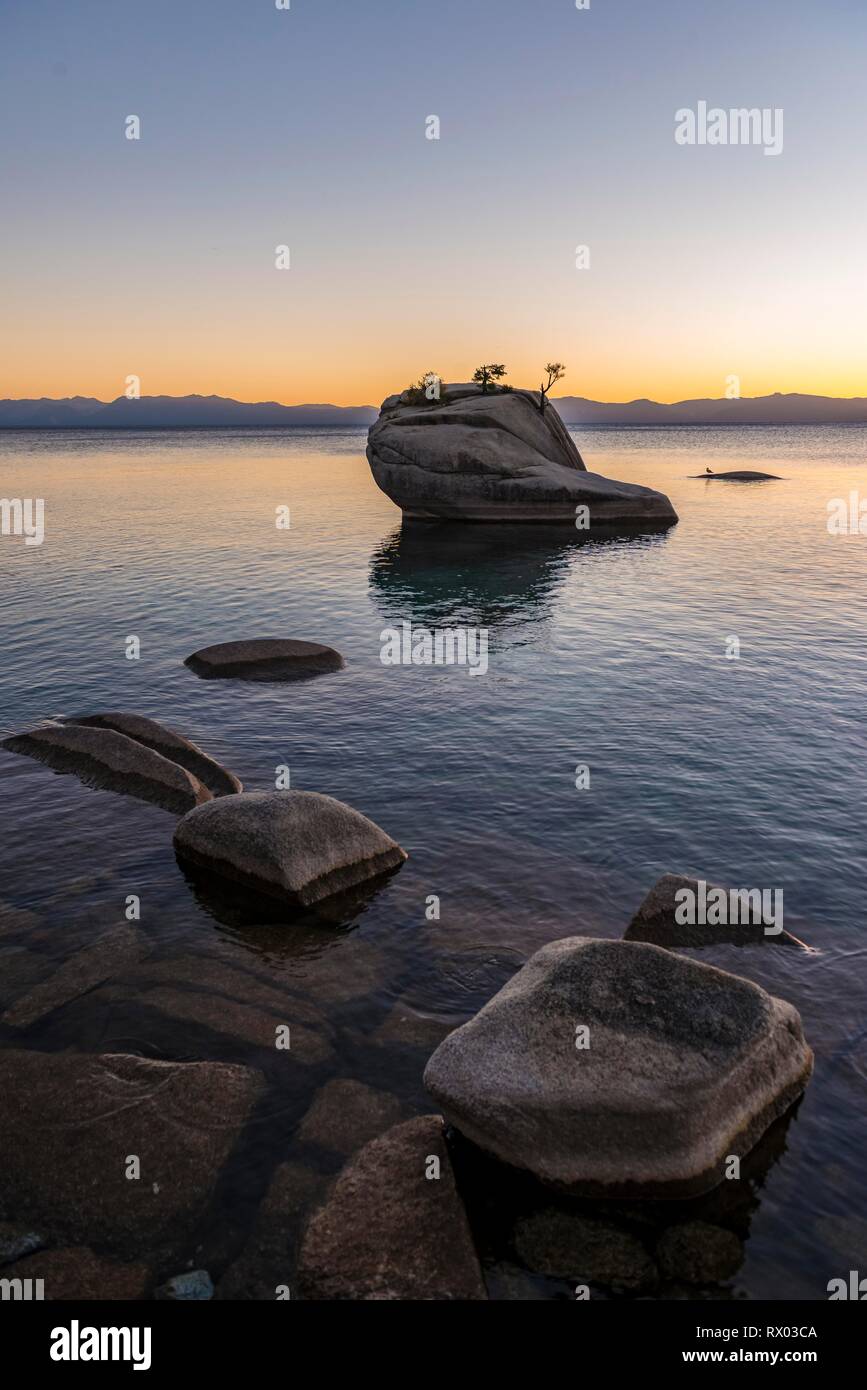 Bonsai Rock, petit arbre sur un rocher dans l'eau, coucher de soleil, Lake Tahoe, California, USA Banque D'Images