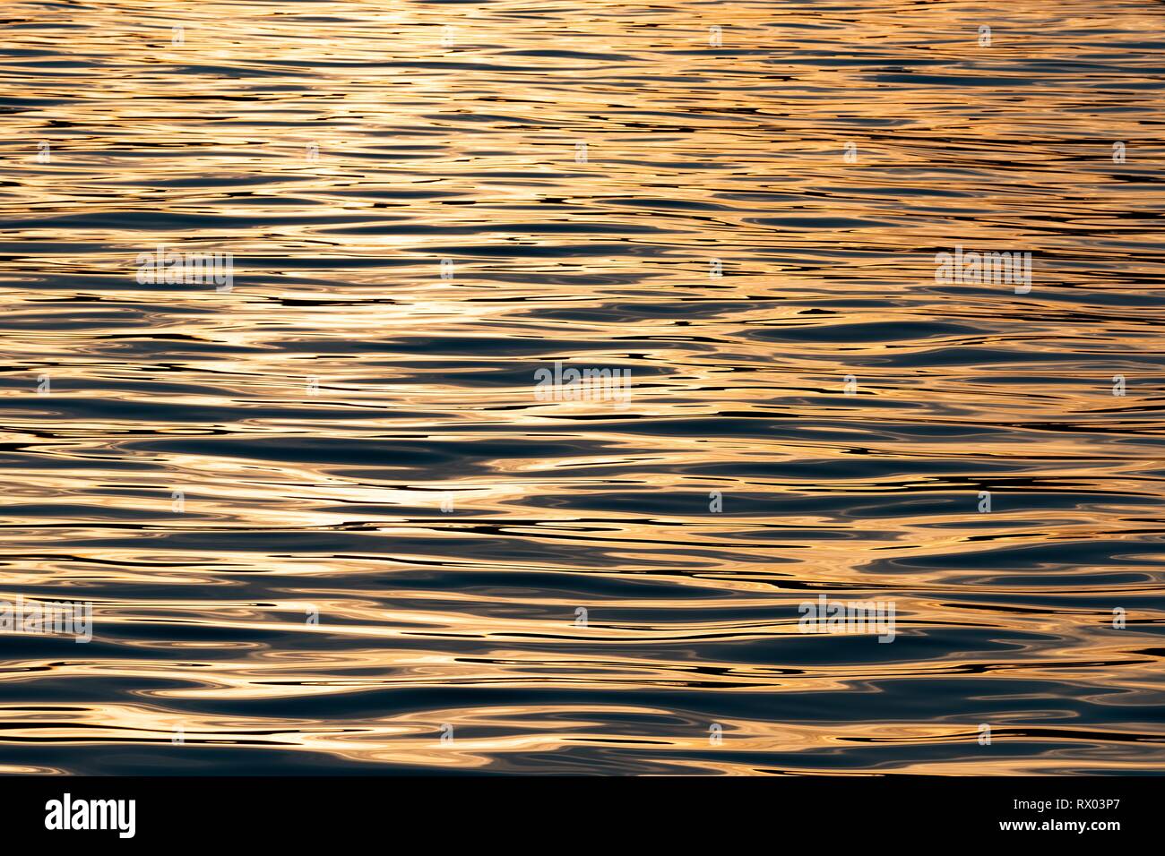 Au lever du soleil à la surface de la mer, mer du Groenland, Spitzberg, Svalbard, Norvège Banque D'Images