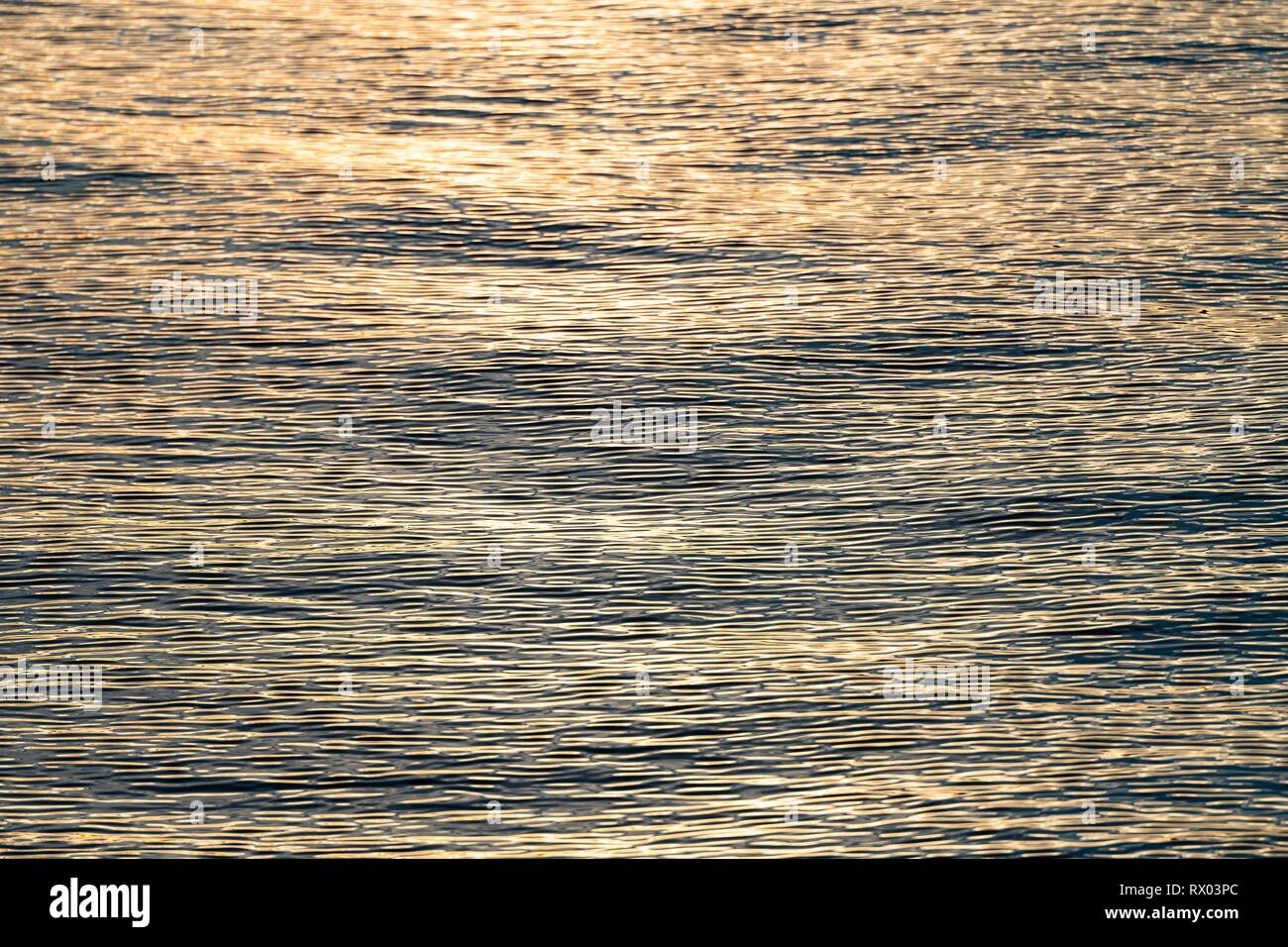 La surface de la mer, mer du Groenland, Spitzberg, Svalbard, Norvège Banque D'Images