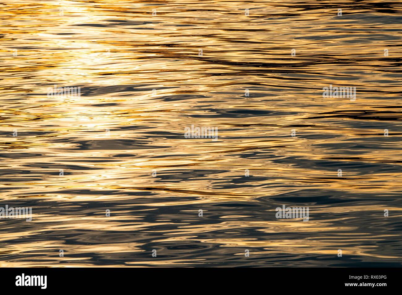 Au lever du soleil à la surface de la mer, mer du Groenland, Spitzberg, Svalbard, Norvège Banque D'Images