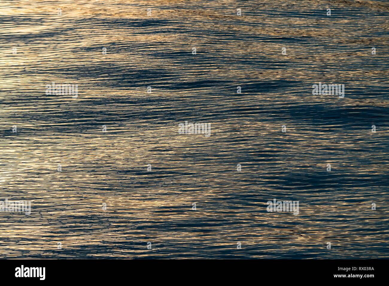 La surface de la mer, mer du Groenland, Spitzberg, Svalbard, Norvège Banque D'Images